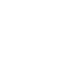 BIRTHDAY