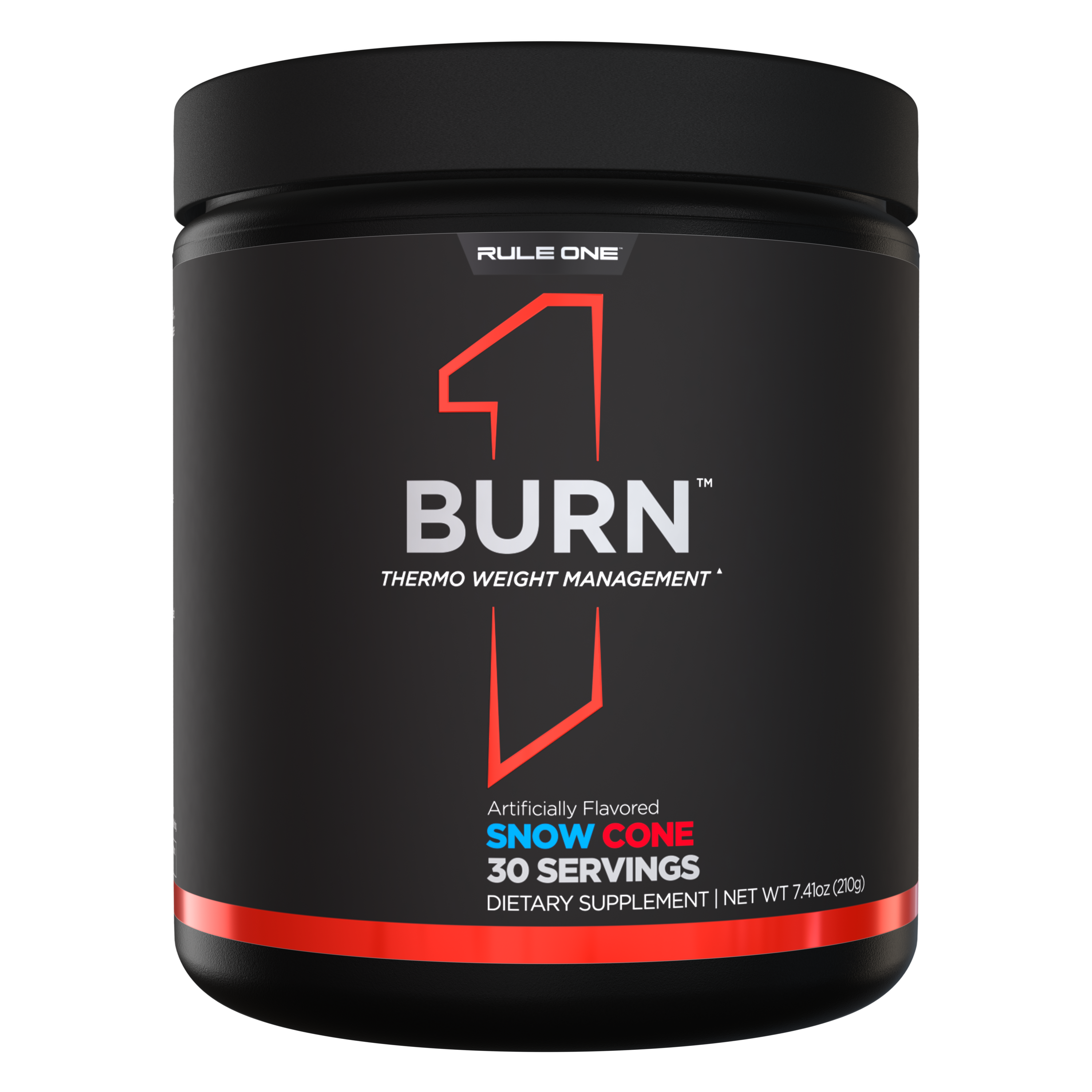rule 1 l carnitine Lean decadent taste of Rule One R1 Clean Gainer in Chocolate Fudge flavour Premium L-Carnitine (30 SERVINGS) by